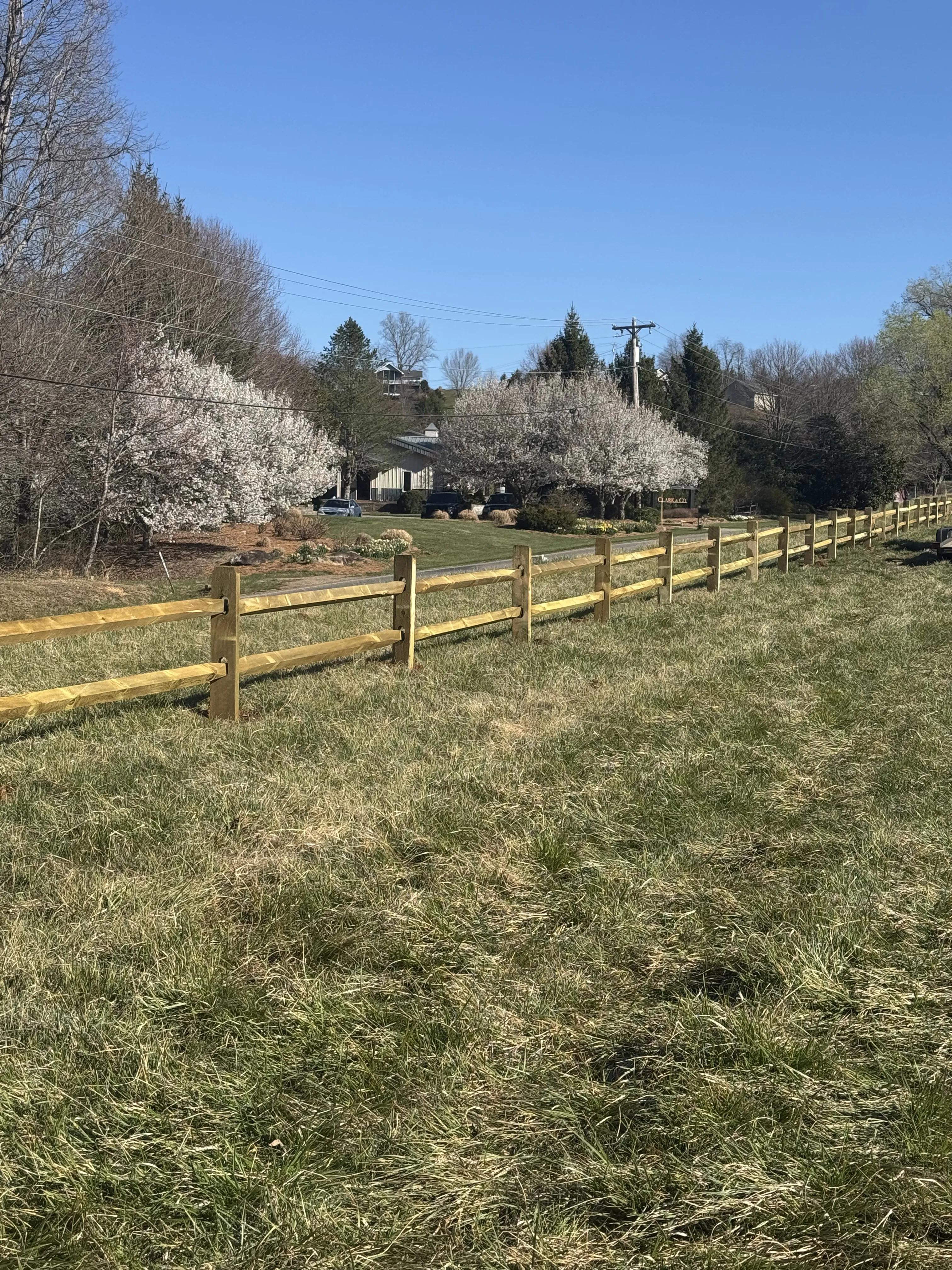 Split rail fence long run with spring blossoms