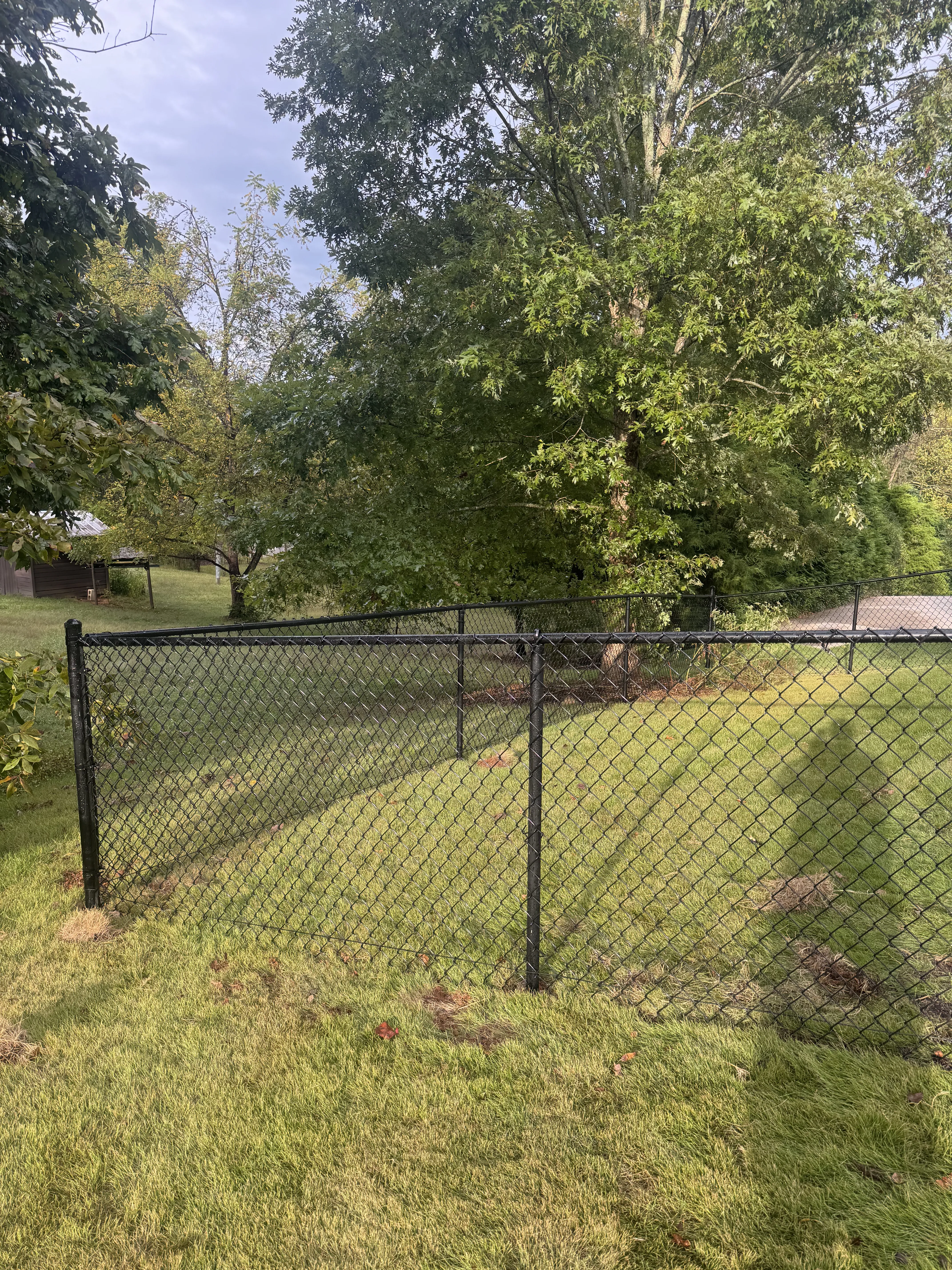 Black chain link fence with gate on green lawn