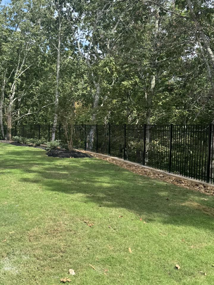 Ornamental iron fence on green lawn