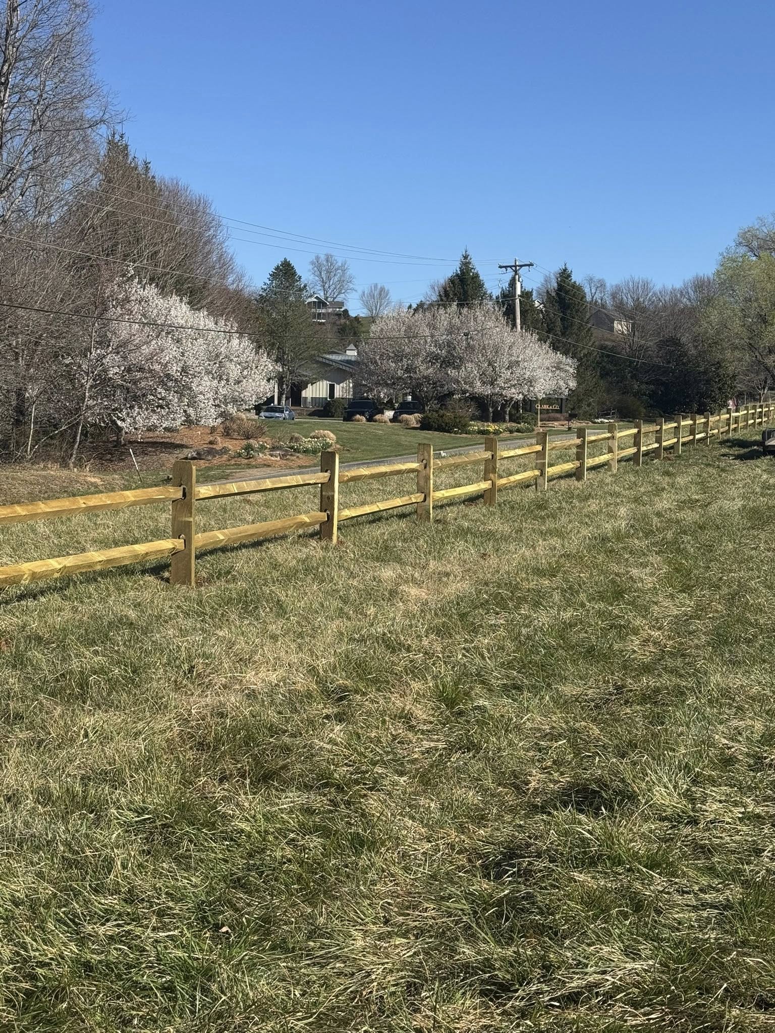 Split rail fence with spring blossoms
