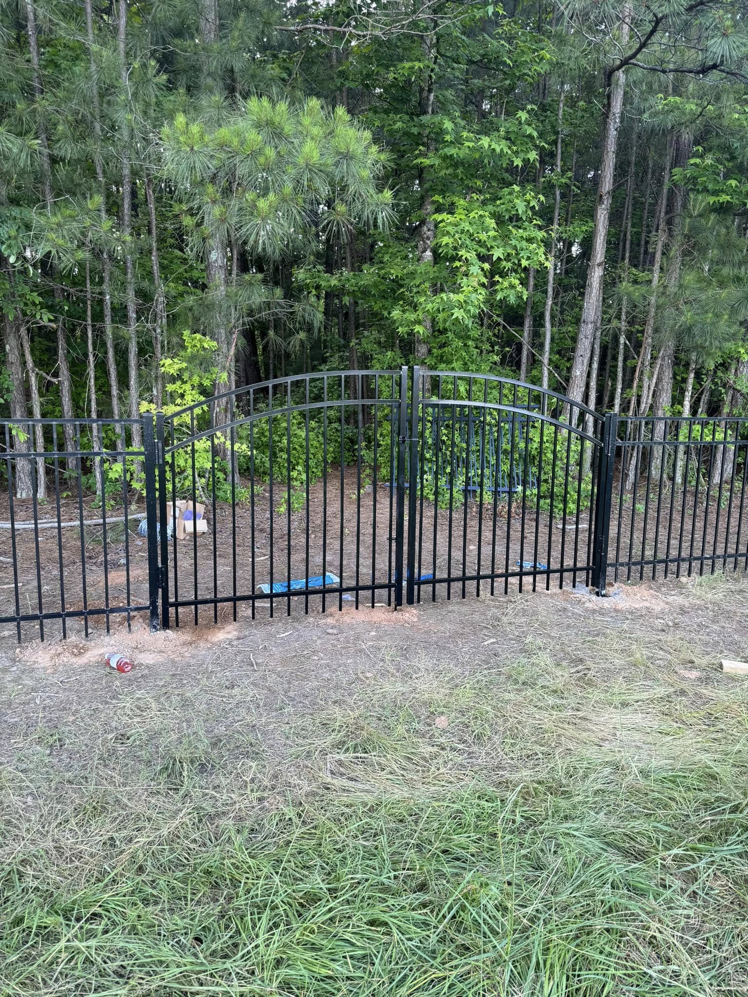 Ornamental iron arched double gate